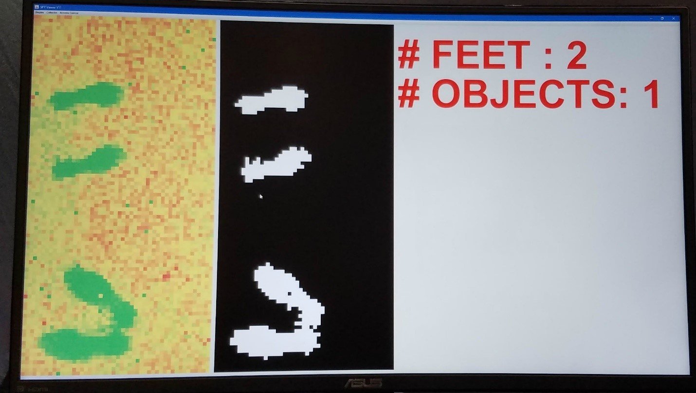 System counts the number of feet present