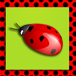 Icon-with-ladybug