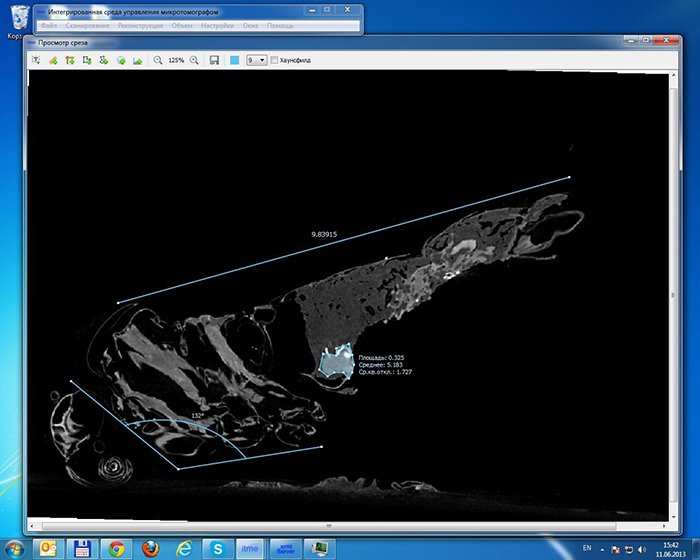 Tomography application windows interface cut